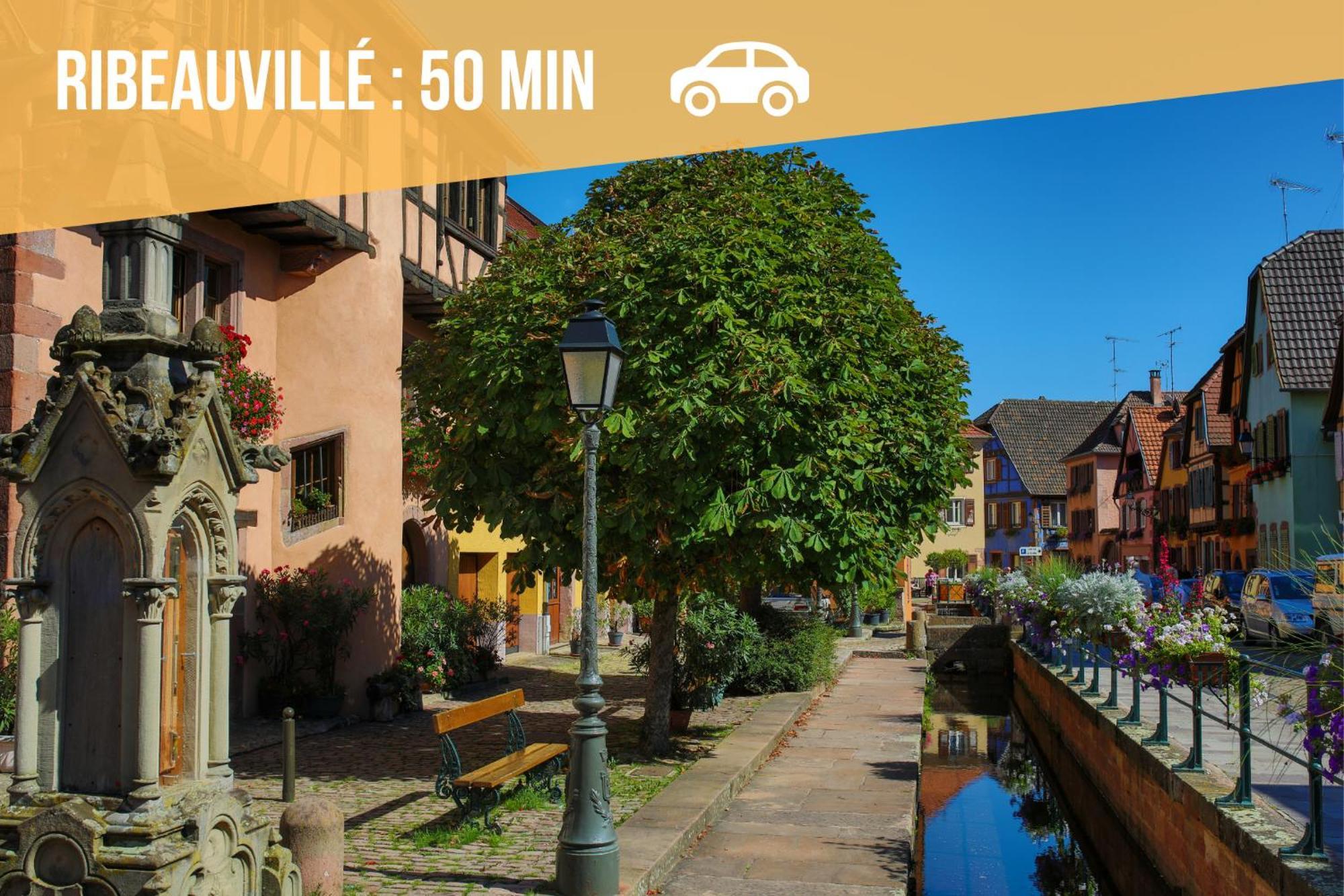Lit Rond Tres Grand Et Confortable - Garage Possible Ou Parking Gratuit Rue - Gare 2 Min Et Ville 4 Min En Tram - Ciel Etoile - Netflix Videoprojecteur - Luxe Et Evasion ستراسبورغ المظهر الخارجي الصورة