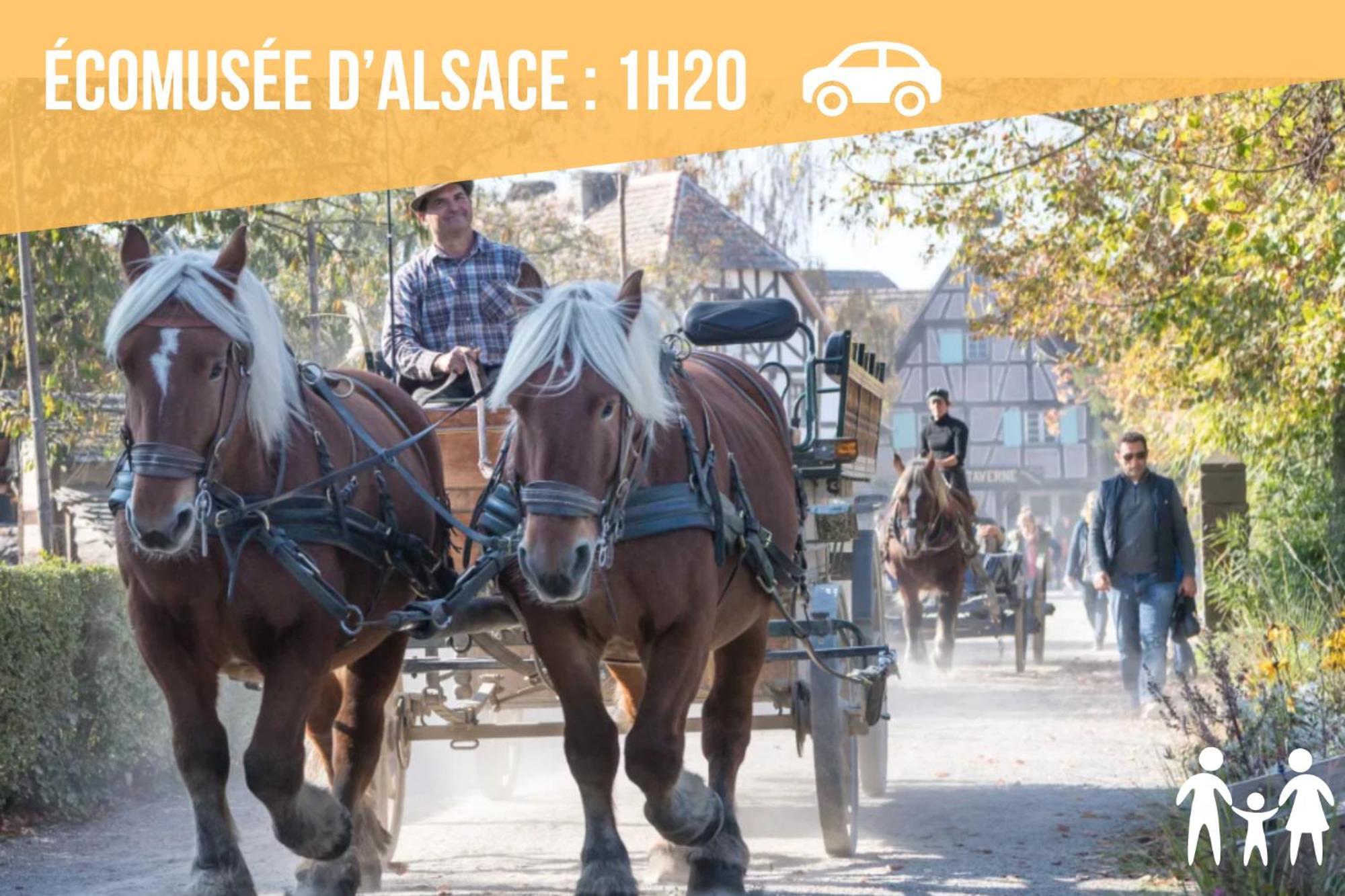 Lit Rond Tres Grand Et Confortable - Garage Possible Ou Parking Gratuit Rue - Gare 2 Min Et Ville 4 Min En Tram - Ciel Etoile - Netflix Videoprojecteur - Luxe Et Evasion ستراسبورغ المظهر الخارجي الصورة